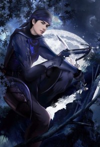 风弄作品集